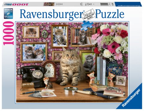 1000 Parça Puzzle Cute Kitty