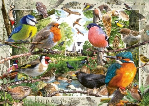 1000 Parça Puzzle Tüylü Dostlar