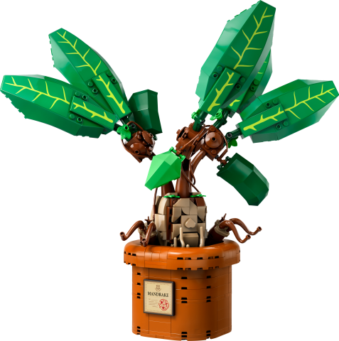 LEGO® Harry Potter™ Adamotu Bitkisi Oyuncağı, Sihirli Hediye 76433