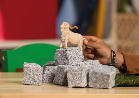 Angora Keçisi