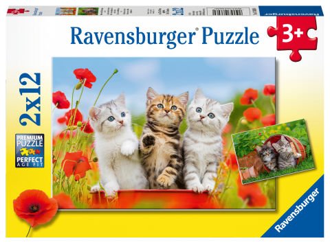 2x12 Parça Puzzle Yavru Kediler