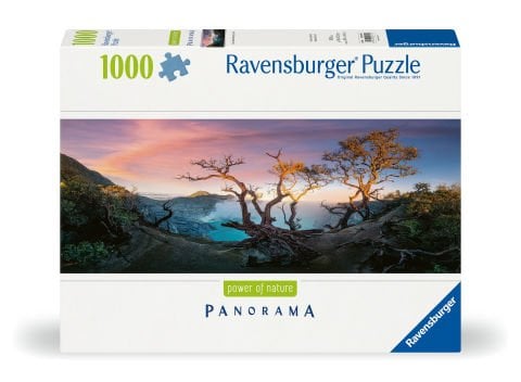 1000 Parça Puzzle Manzara