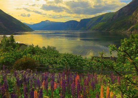 1000 Parça Puzzle Norveç