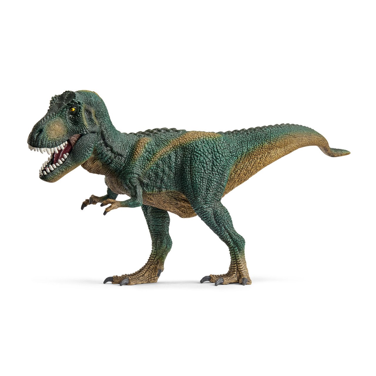 Tyrannosaurus Rex