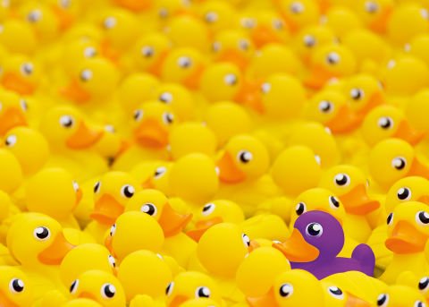 1000 Parça Puzzle Plastik Ördekler