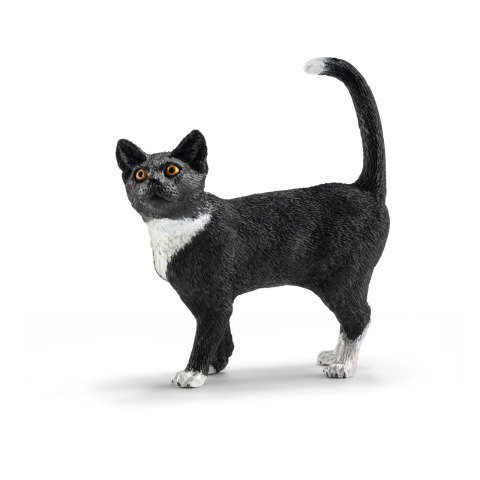 Ayakta Kedi