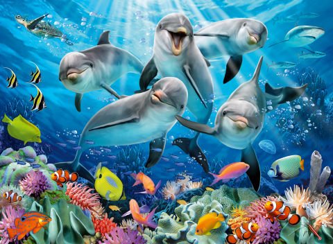 500 Parça Puzzle Yunuslar