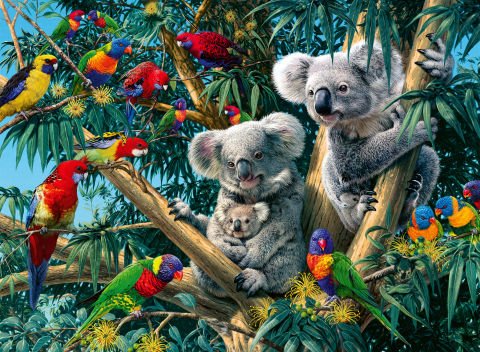 500 Parça Puzzle Koalalar