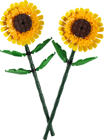 LEGO® LEL Flowers Ayçiçeği 40524