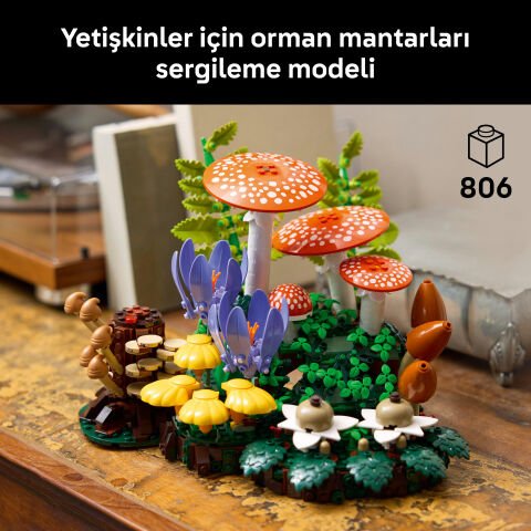 LEGO® Botanicals Orman Mantarları 11505