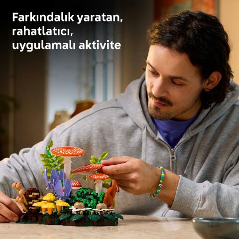 LEGO® Botanicals Orman Mantarları 11505