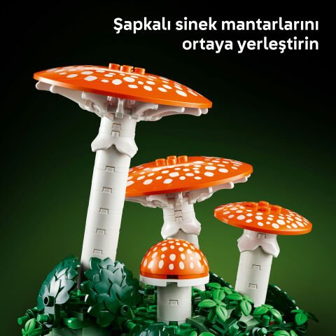 LEGO® Botanicals Orman Mantarları 11505