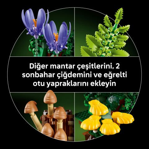 LEGO® Botanicals Orman Mantarları 11505