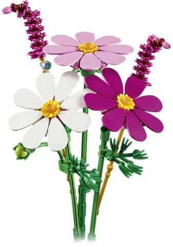 LEGO® Botanicals Kozmos Çiçekleri 11514