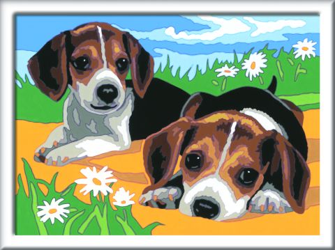 Creart Beagle Yavruları - Sayılarla Boyama Hobi Seti