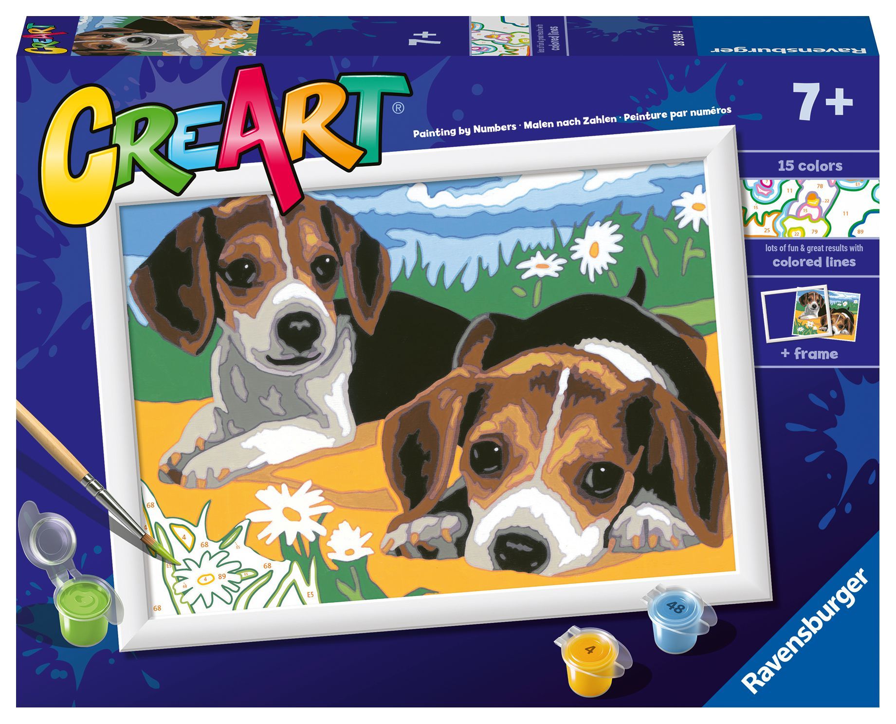 Creart Beagle Yavruları - Sayılarla Boyama Hobi Seti
