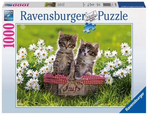 1000 Parça Puzzle Çayırda Piknik
