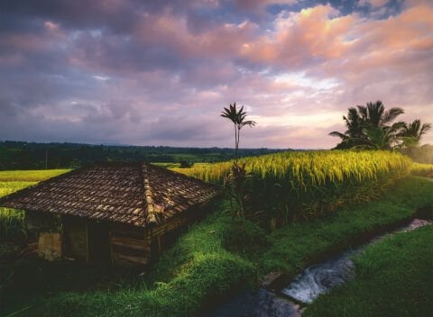 500 Parça Puzzle Bali