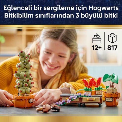 LEGO® Harry Potter™ Hogwarts™ Bitkibilim Bitkileri 76474