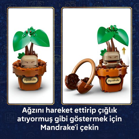 LEGO® Harry Potter™ Hogwarts™ Bitkibilim Bitkileri 76474