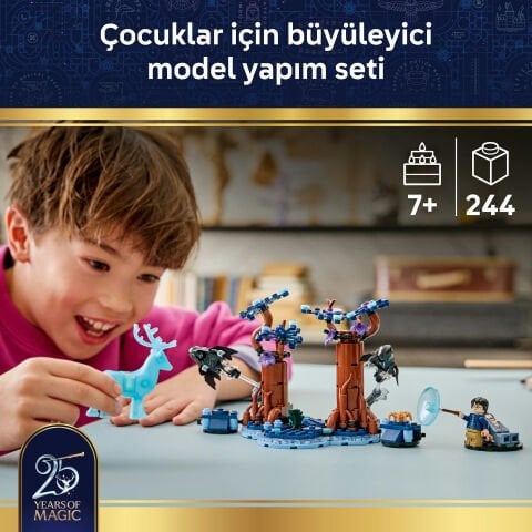 LEGO® Harry Potter™ Yasak Orman: Expecto Patronum 76475