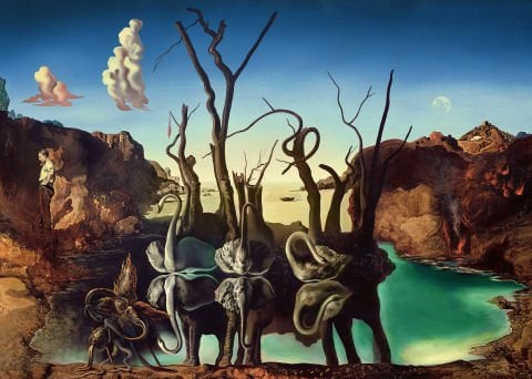 1000 Parça Puzzle Dali Filleri Yansıtan Kuğular