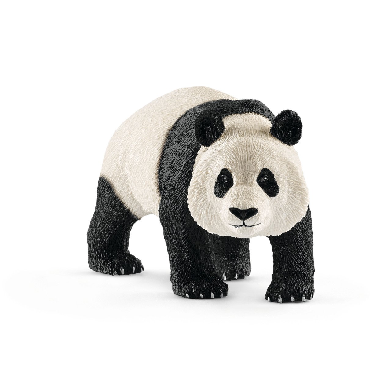 Erkek Panda