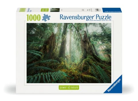 1000 Parça Puzzle Ormanda