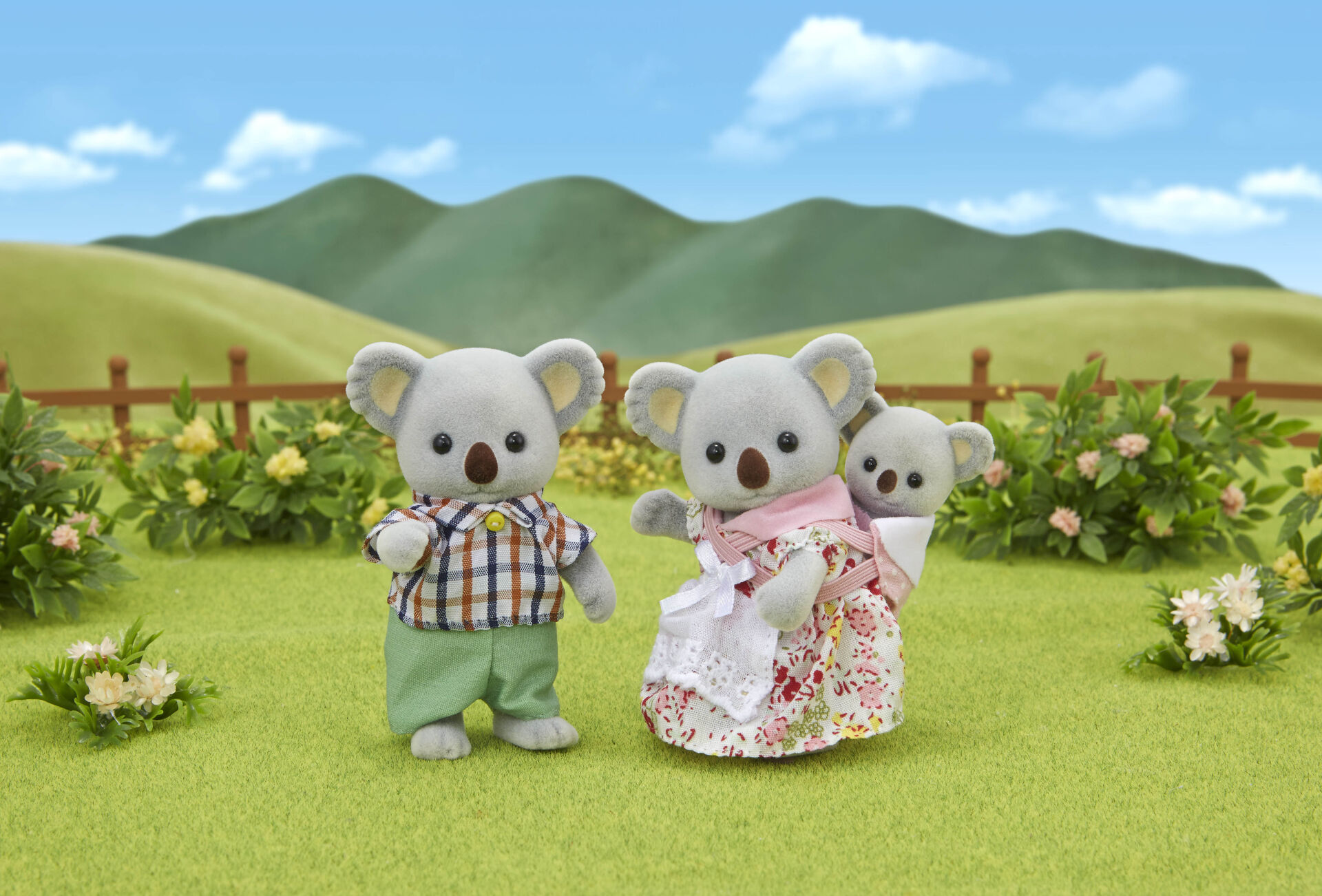 Koala  Ailesi