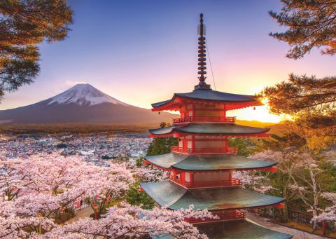 1000 Parçalı Puzzle Japon Kiraz Ağacı