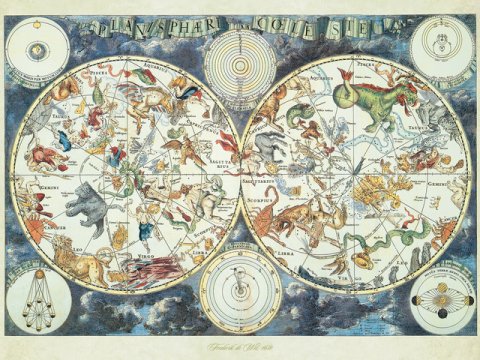 1500 Parça Puzzle Map of Beasts