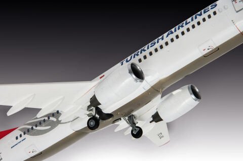 Türk Hava Yolları/Turkish Airlines Boeing 737-800