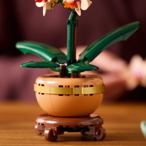 LEGO® Botanicals Mini Orkide Modeli 10343