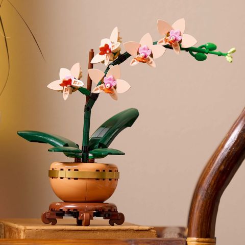 LEGO® Botanicals Mini Orkide Modeli 10343
