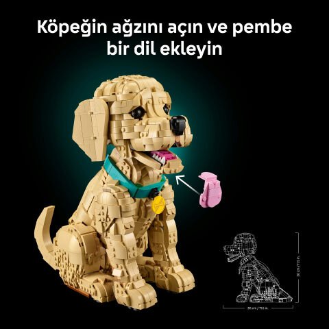 LEGO® Yavru Golden Retriever 11384