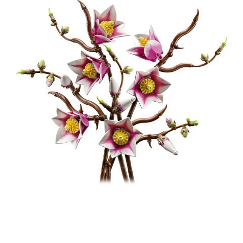 LEGO® Botanicals Manolya Dalları 11510