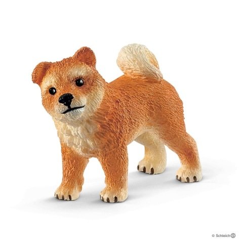 Shiba Inu