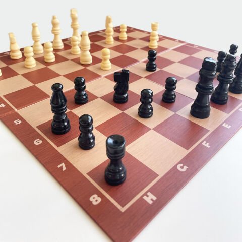Pressman Premium Classics: Satranç