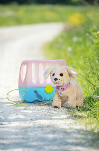 Baby born Köpeğim Lucky