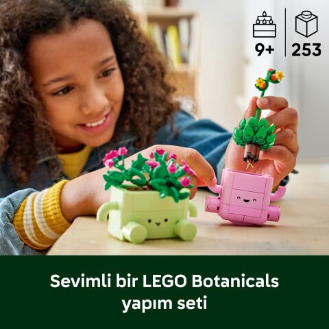 LEGO® Botanicals Sallanan Bitkiler 11506