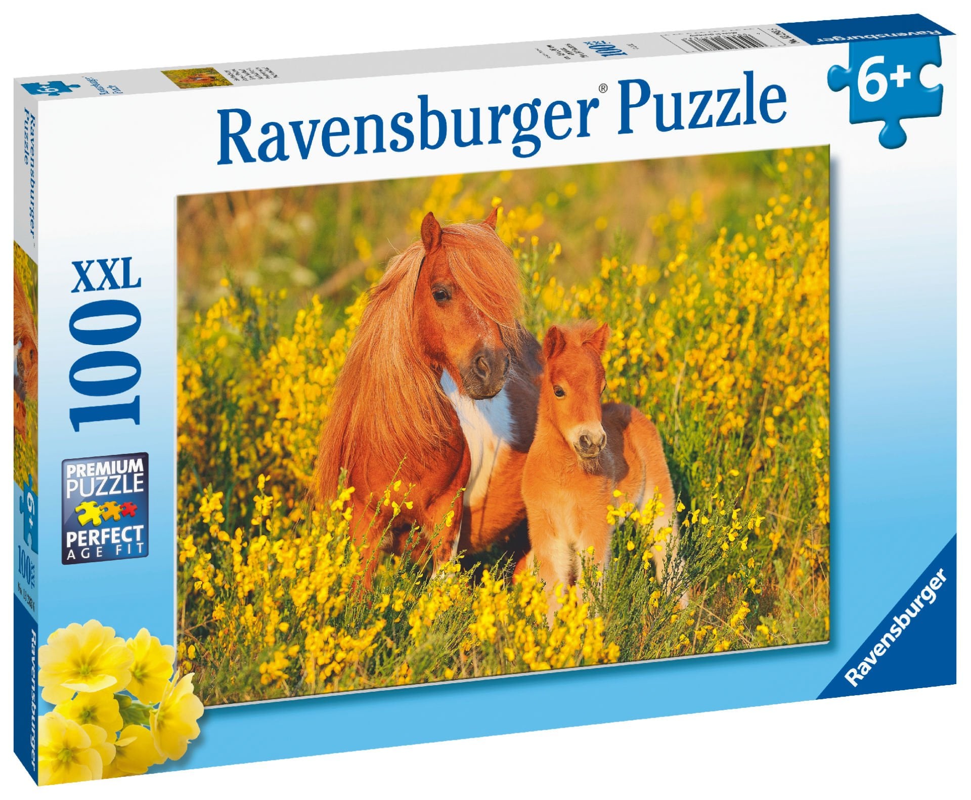 100 Parça Puzzle Taylar