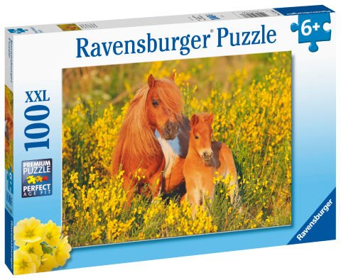 100 Parça Puzzle Taylar