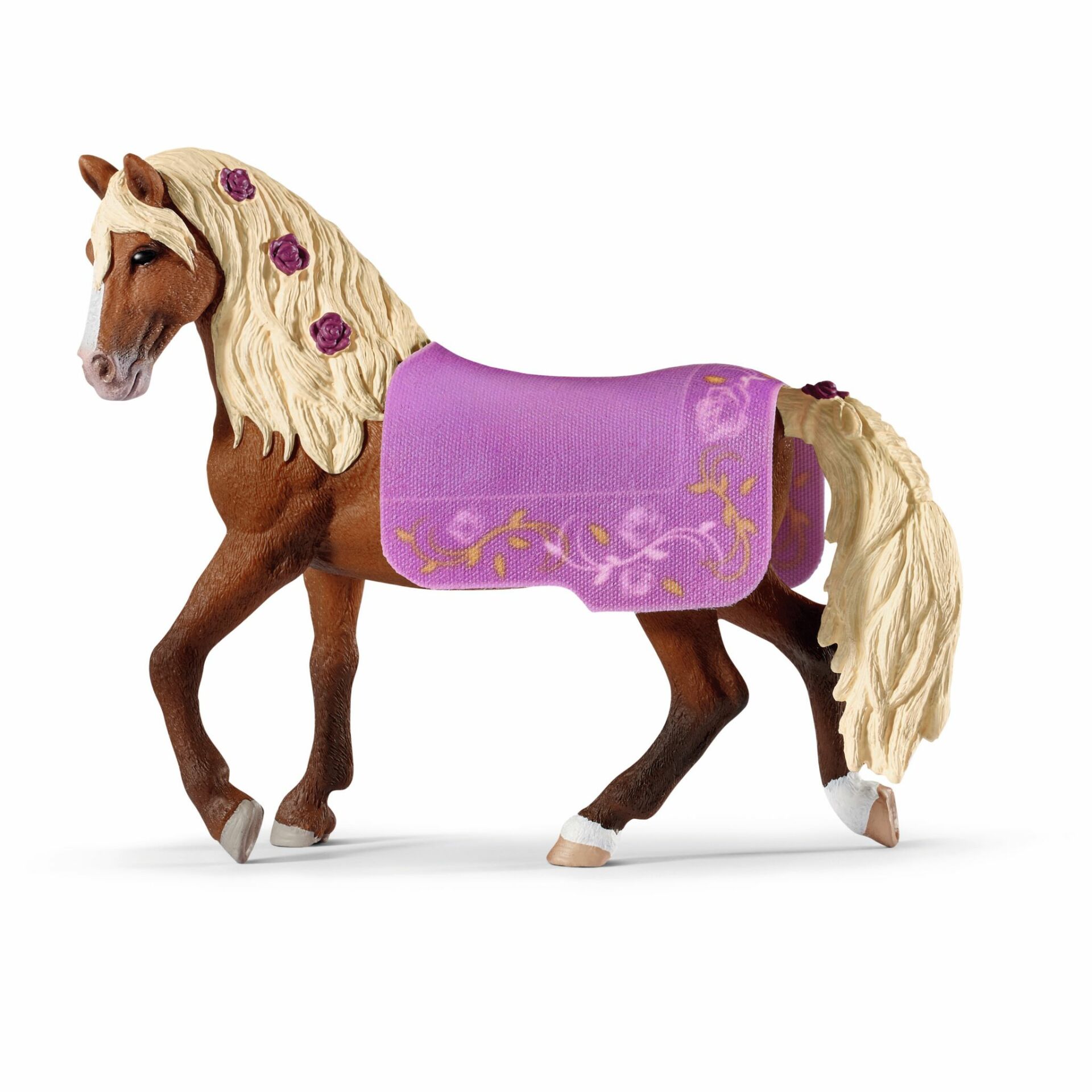 Paso Fino Aygırı At Gösterisi