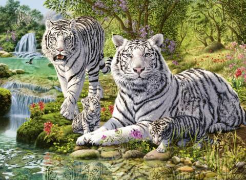 500 Parça Puzzle White Tiger Family