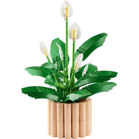 LEGO® Botanicals Barış Çiçeği 11504