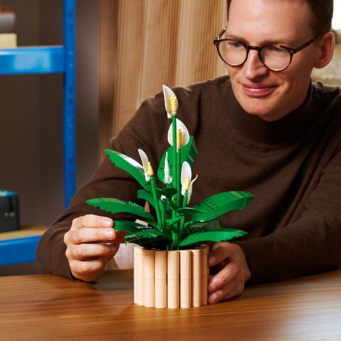 LEGO® Botanicals Barış Çiçeği 11504