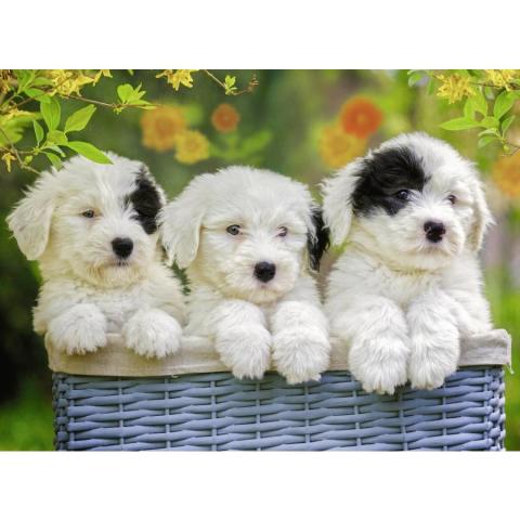 Ravensburger 200 Parçalı Puzzle Puppies-127658